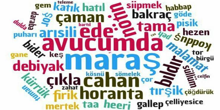 Türk Lehçe ve Şiveleri