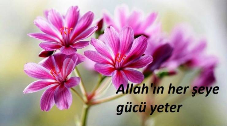 Allah’ın Gücü
