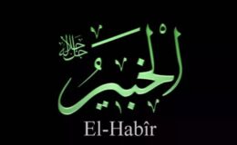 EL HABİR : Habir* [Herşeyin iç yüzünden gizli taraflarından haberdar]