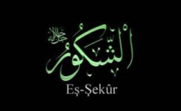 EŞ ŞEKÛR : Şekûr* [ Kendi rızası için yapılan iyiliklere daha fazlasıyla
