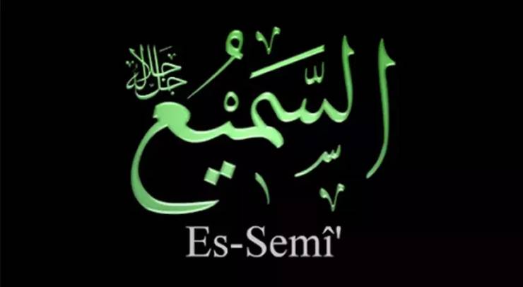 ES SEMî : Semi [ Herşeyi iyi işiten ]