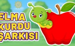 Elma Kurdu