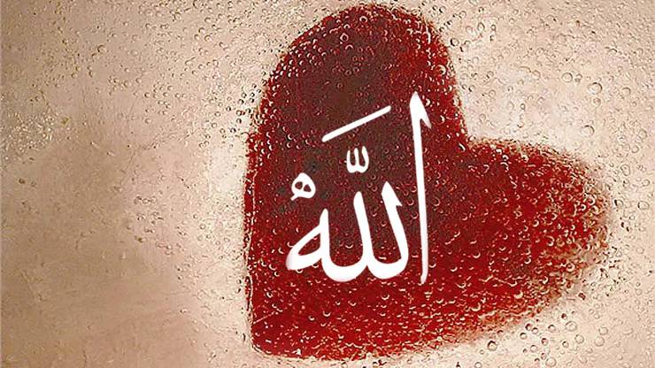 Hesap Günü Allah’i (c.c) Görmek