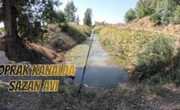 Toprak Kanalda Sazan Avı, Tatlı Sularda Günah Keçisi Amatör Balıkçılar, Suçluyu Buldunuz Vurun Abalıya