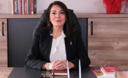 Zafer Partili Aslan’dan Eskişehir’de Ormanların Talana Açılmasına Tepki: AKP’nin Rant Politikalarına Bir Yenisi Daha Eklendi