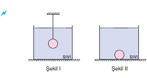 cismin_agirlasmasi.png