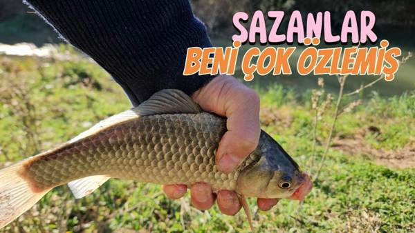 Sazan Avı Sumbas Çayı – Sazanlarla Hasret Giderdik…