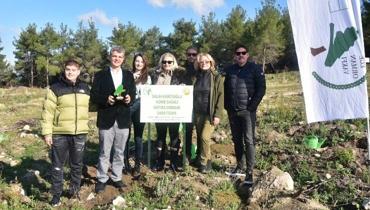 HomeSasalı Hatıra Ormanında Fidanlar Toprakla Buluştu