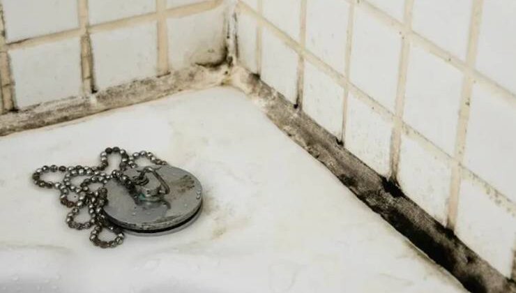 Banyo Küfü Nasıl Çıkartılır?