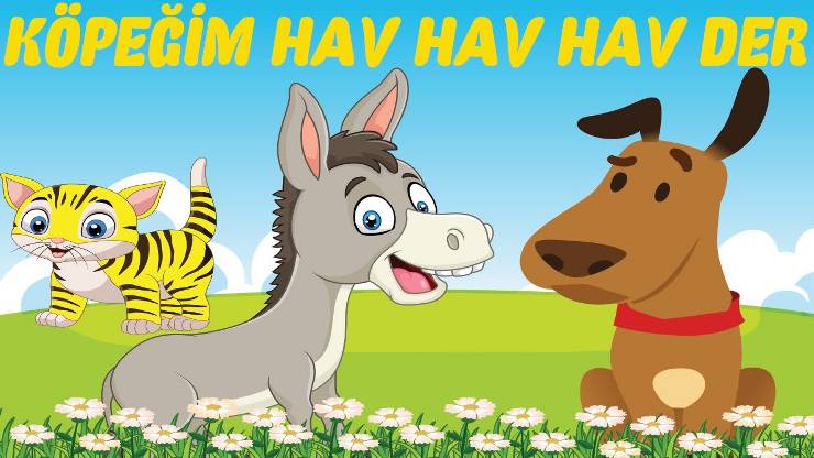 Hayvanlar ne ister ?