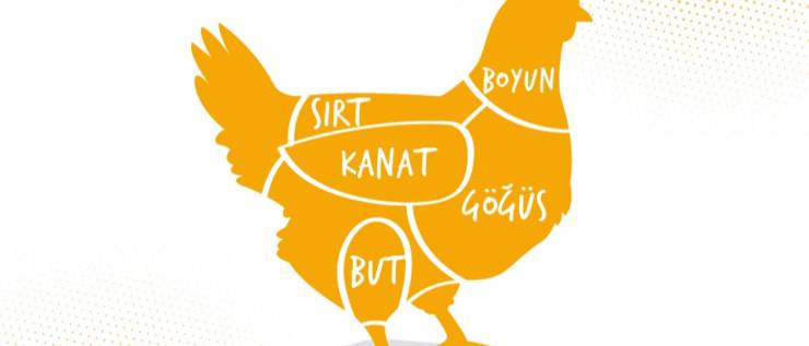 Kümes Hayvanlarının Et ve Kemik Bölümleri Nasıl Adlandırılır