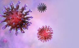 Mers Virüsü Nedir?
