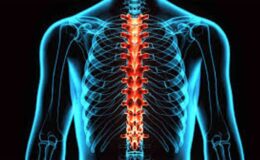 Spinal Kord Yaralanması