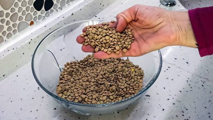 Yeşil Mercimek Dondurucuda Nasıl Saklanır