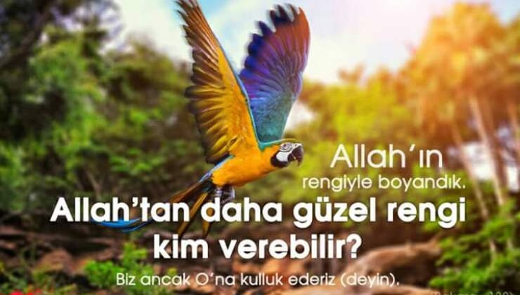 Allah’ın yaratma sanatı sonbahar renkleri