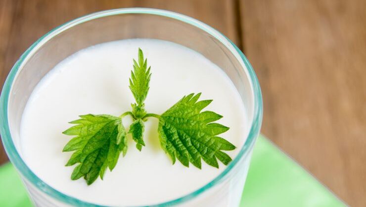 Araştırmalara göre süt ürünleri, susuzluğu gidermede etkili bir seçenek