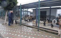 CHP’li Meclis Üyesi Uğur Büyükkantarcı’dan barınak ziyareti