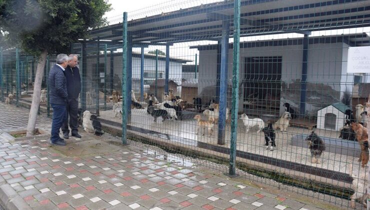 CHP’li Meclis Üyesi Uğur Büyükkantarcı’dan barınak ziyareti