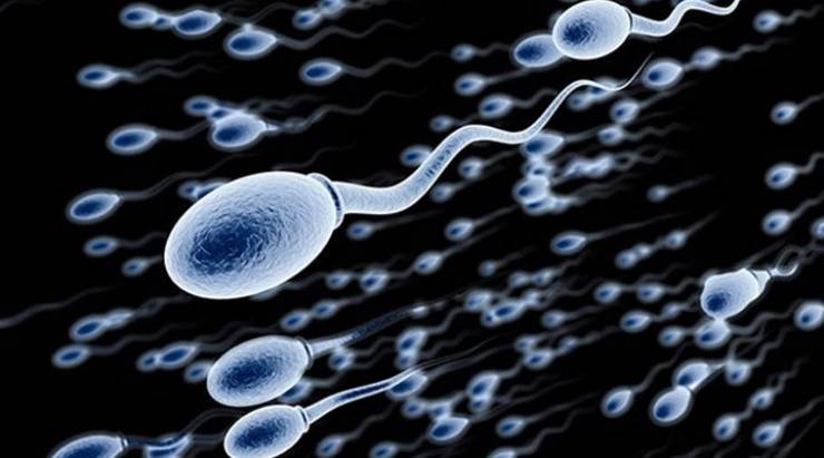 Kozmetik sperm kalitesini düşürüyor