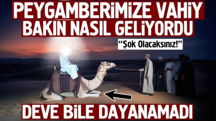 Muhammed (s.a.s.) İnkarcıların, vahyin inmesine hayretle bakmaları