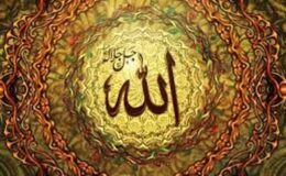 Rab (Allah)