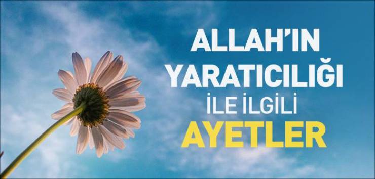 ALLAH’ın Üstün Yaratma Sanatı (Çiçek)