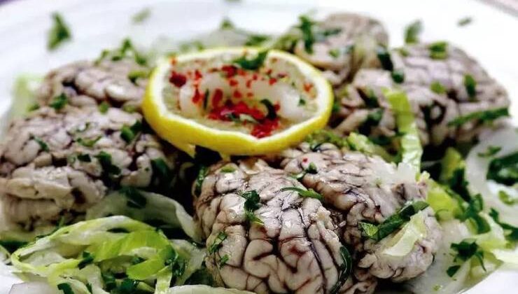 Beyin Pişirecekseniz
