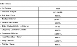 Bilanço ve gelir tabloları