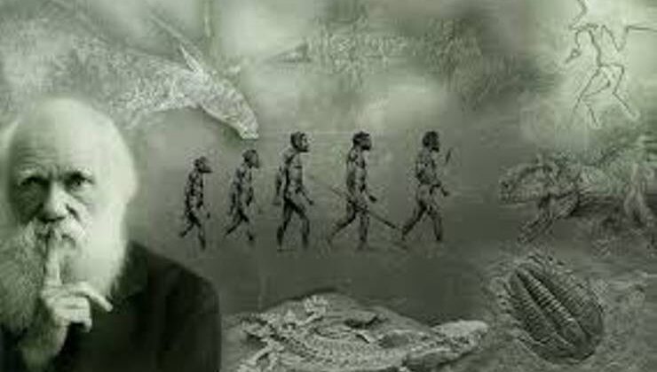 Darwinizm