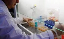Erkeklerde, en sık tanı konan iki kanser