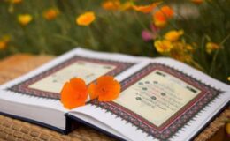 Cin Suresi 3: Rabbimiz Sahib ve Veled Edinmemiştir demek Ne Demek?