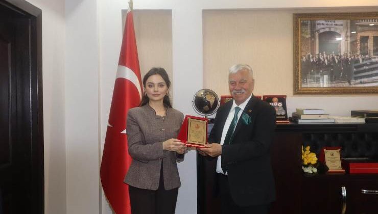ASIL AZMAZ, BAL KOKMAZ: FEKE’NİN “FAHRİ BACISI” KAYMAKAMI