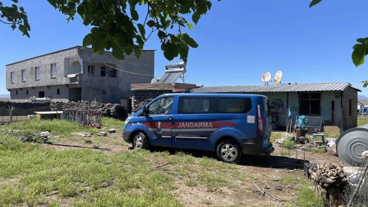 Evdeki yılanı öldürmek isterken dehşeti yaşattı: 5 yaralı!