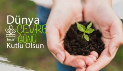 Çevre ve Biz