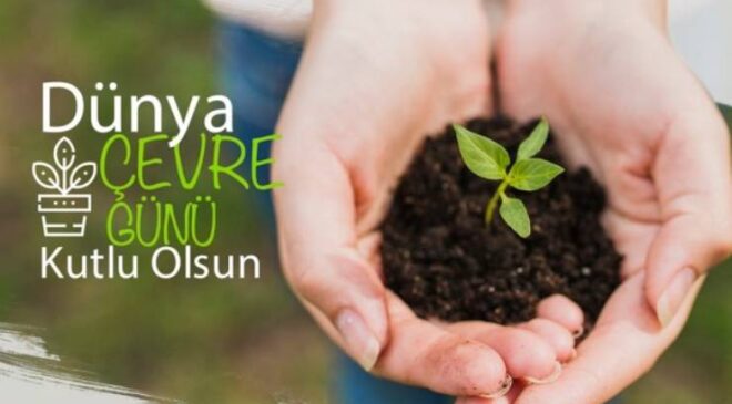 Çevre ve Biz