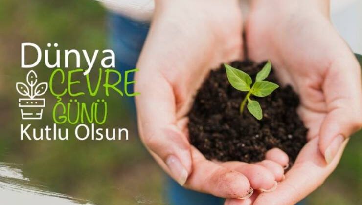 Çevre ve Biz