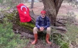 Dağların Sesinden