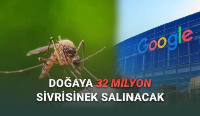 Google Doğaya 32 Milyon Özel Sivrisinek Salacak: Peki Neden?