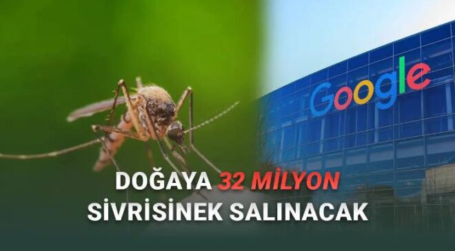 Google Doğaya 32 Milyon Özel Sivrisinek Salacak: Peki Neden?