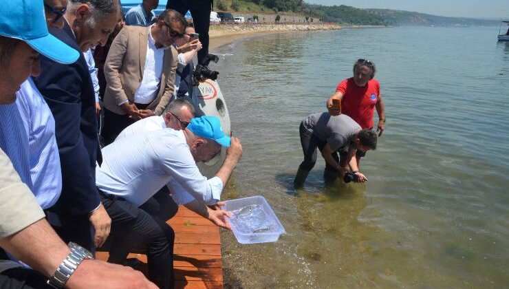 OYAK Çimento’dan Marmara Denizi’ne Sürdürülebilir Gelecek Yatırımı