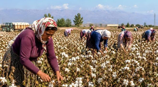 Son Baskı’dan “Çukurova: Kent-Kültür-Bellek” dosyası