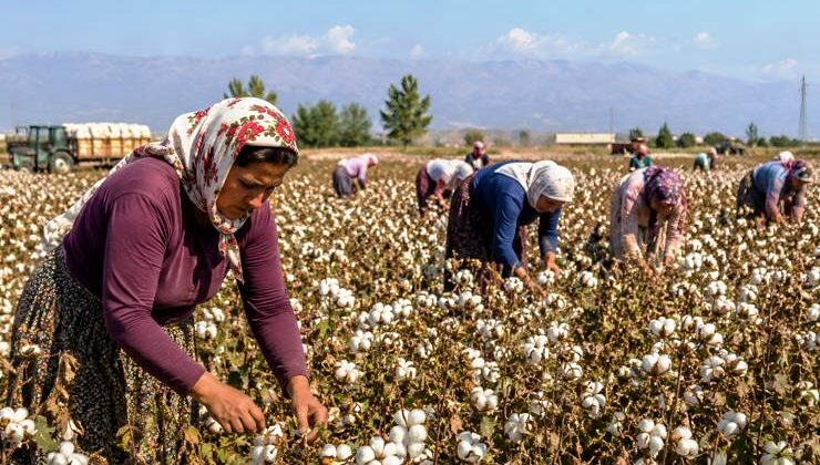 Son Baskı’dan “Çukurova: Kent-Kültür-Bellek” dosyası