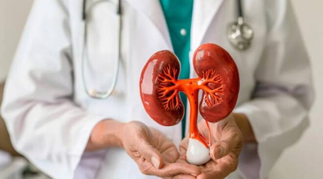 Conn Sendromu (Primer Aldosteronizm) Nedir? Belirtileri ve Tedavisi