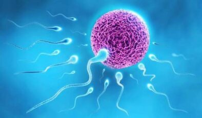 Erkeklerde Kısırlık Nedenleri ve Tedavisi: Mikro TESE ile Çocuk Sahibi Olma Şansı