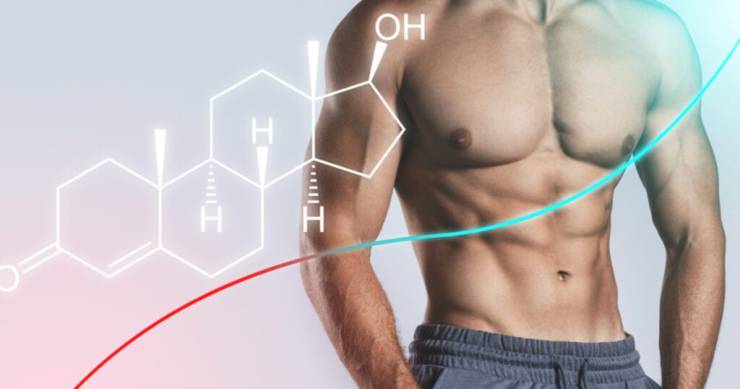 Kimyasalların Erkek Sağlığına Etkileri ve Hormonal Tehlikeler