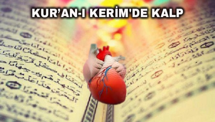 Kur’an-ı Kerim’e Göre Kalp: İrfan ve İdrakin Engin Denizi