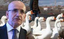 Yolunacak Kazlar Ülkesi