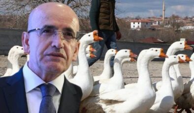 Yolunacak Kazlar Ülkesi