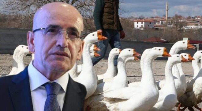 Yolunacak Kazlar Ülkesi