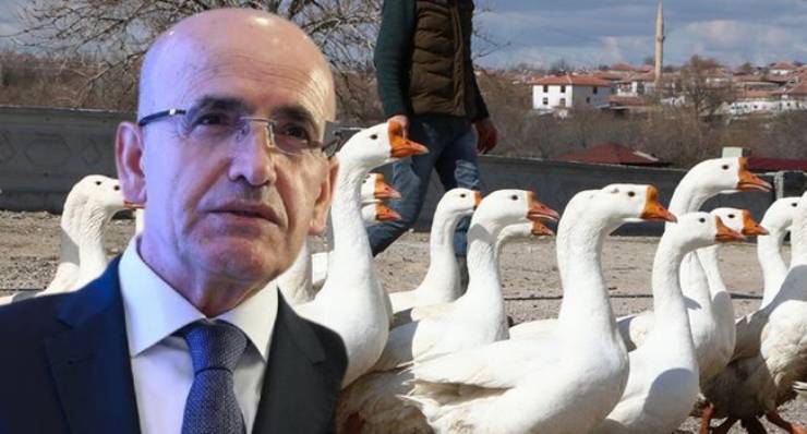 Yolunacak Kazlar Ülkesi
